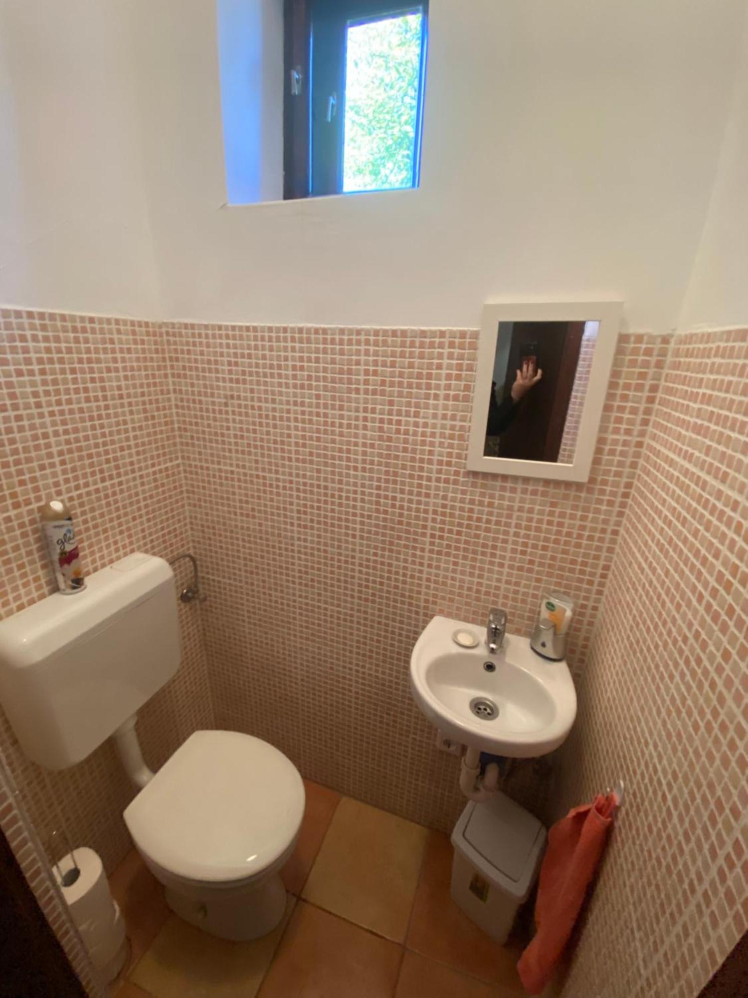 Szoloskert Vendeghaz, Erdőbénye Dış mekan fotoğraf